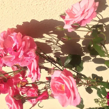 Aran 3* Бэнтри