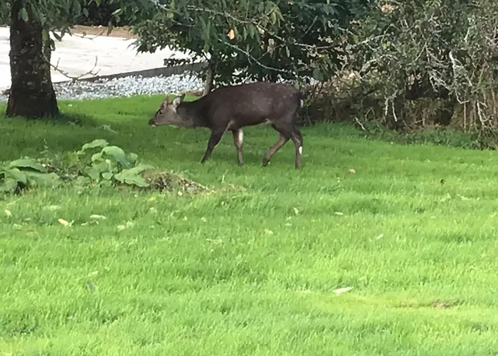 Bed and breakfast Aran